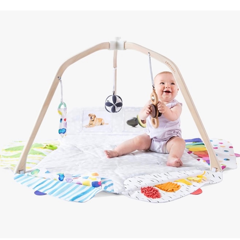 Play Gym with Colorful Accessories